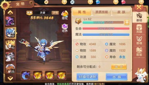萌龙大乱斗青春之泉的作用与价值分析，让你轻松掌握游戏的秘密
