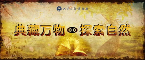 探索灵能冲击的奥秘：如何在免广告的世界中找到相思的甜蜜与自由