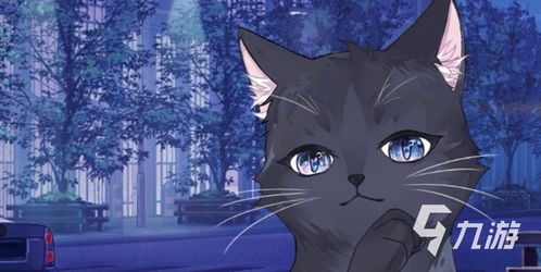 (黑猫奇闻社什么时候上线)黑猫奇闻社为什么总是做不好？黑猫奇闻社到底烂在哪里？