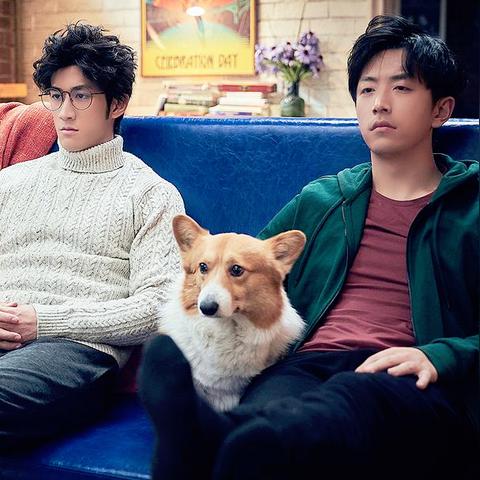 探讨为何《阿凡达2》未能超越前作，成为观众心中烂片的五大原因