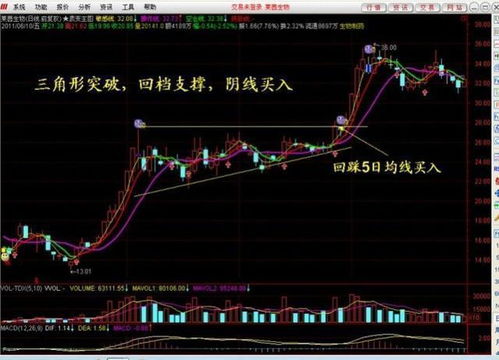 2024新澳最精准免费资料|深入研究解释落实_智慧款.5.208