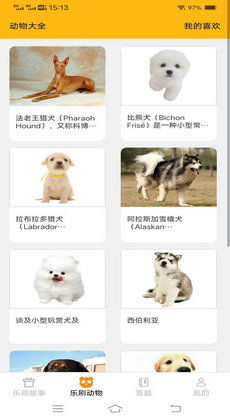动物护理下载免费-动物护理中文内置作弊菜单下载v.1.29